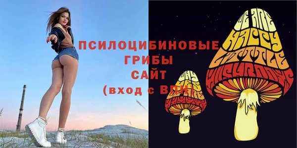 таблы Алексин